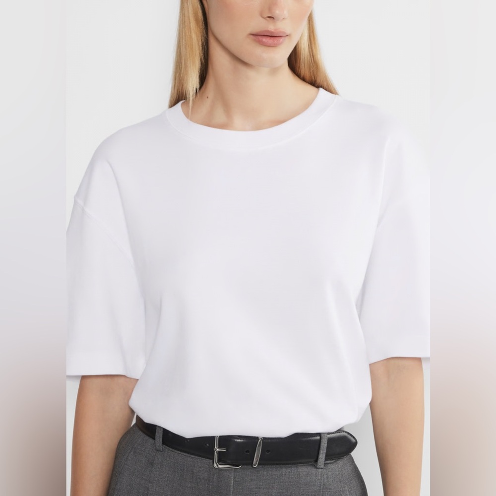Aritzia Pegasus Tee